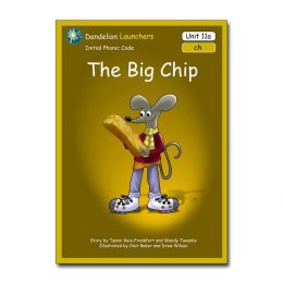 The Big Chip